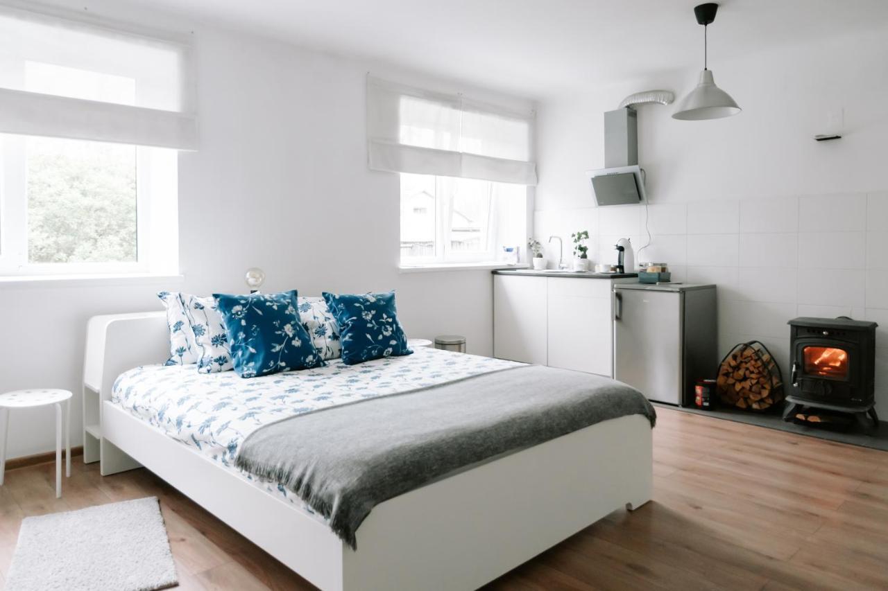 Lake Aluksne Studio Apartment Экстерьер фото